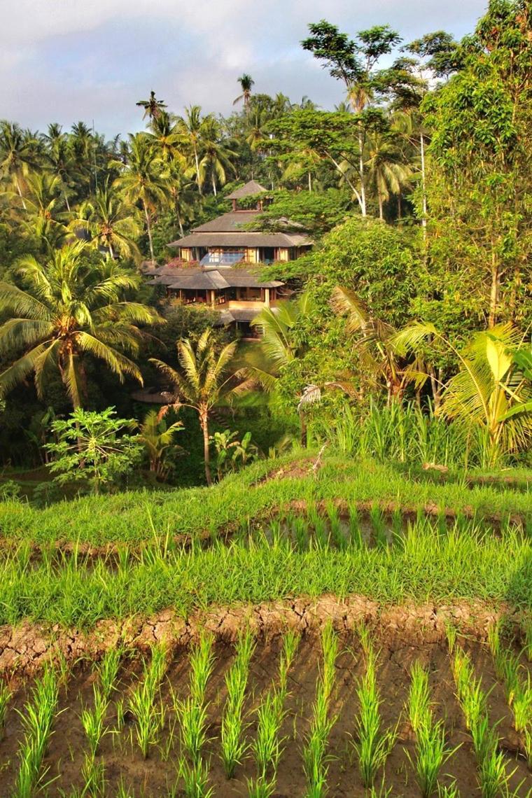 Lumina Residences And Wellness Sanctuary Ubud Dış mekan fotoğraf