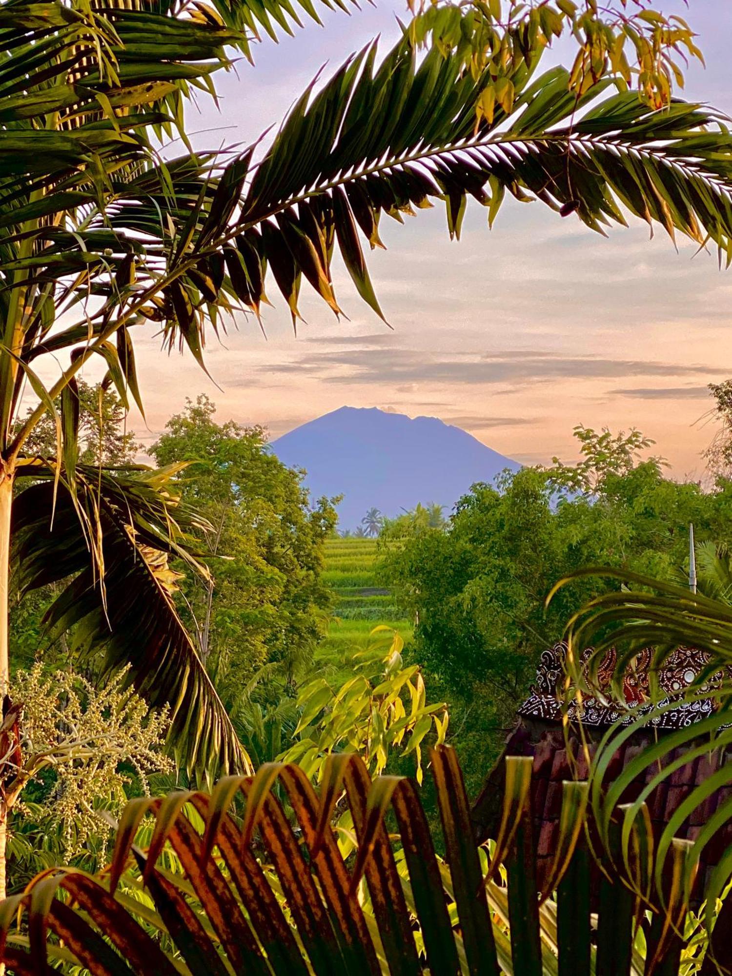 Lumina Residences And Wellness Sanctuary Ubud Dış mekan fotoğraf